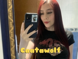 Caatawolf