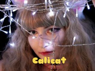 Calicat