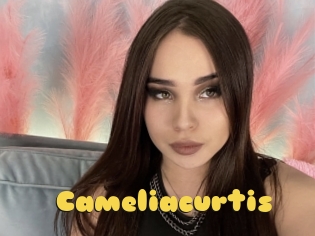 Cameliacurtis