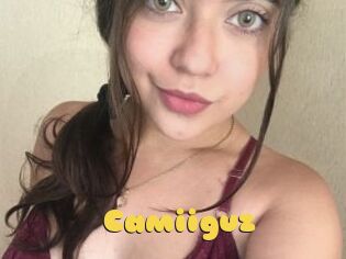 Camiiguz