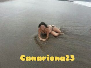 Canariona23