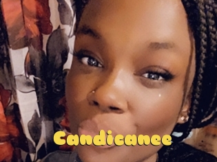 Candicanee