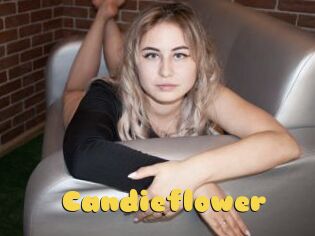 Candieflower