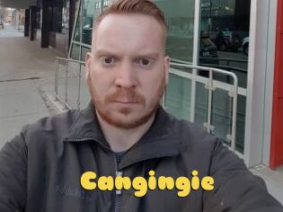 Cangingie