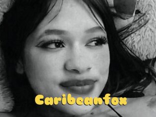 Caribeanfox