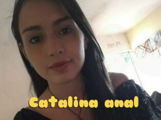 Catalina_anal