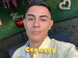 Cegavoy