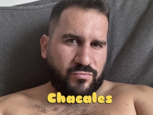 Chacales