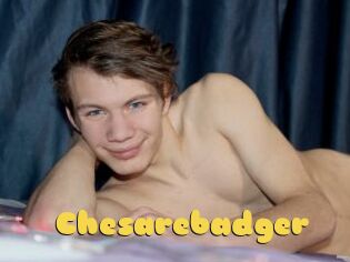 Chesarebadger