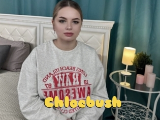 Chloebush
