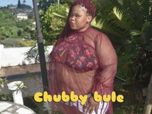 Chubby_bule