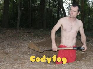 Codyfog