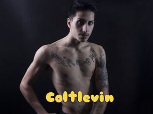 Coltlevin