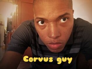 Corvus_guy
