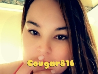 Cougar816