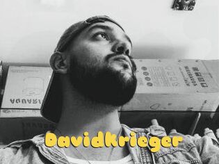 Davidkrieger