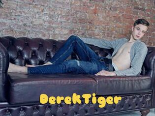 DerekTiger
