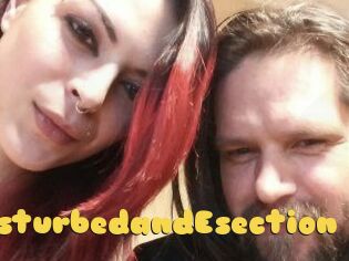 DeziDisturbedandEsection