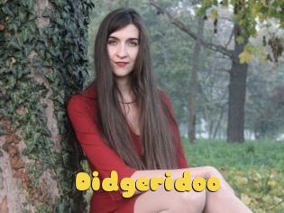 Didgeridoo