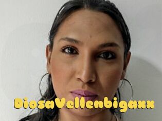 DiosaVellenbigaxx
