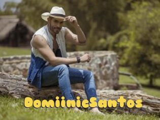 DomiinicSantos