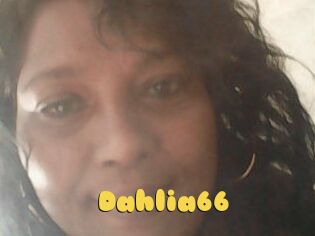 Dahlia66
