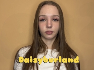 Daisyburland