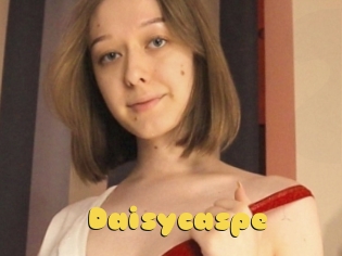 Daisycaspe
