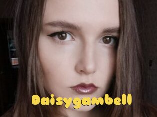 Daisygambell