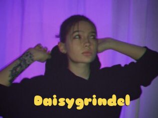 Daisygrindel