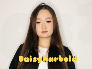 Daisyharbold