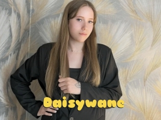 Daisywane