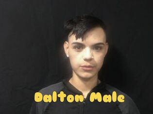 Dalton_Male