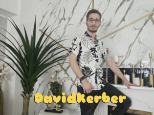 Davidkerber