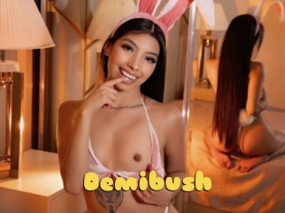 Demibush