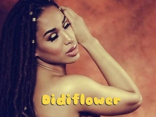 Didiflower