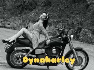 Dynaharley