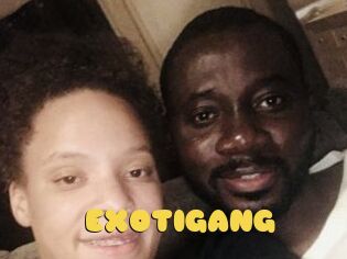 EXOTIGANG