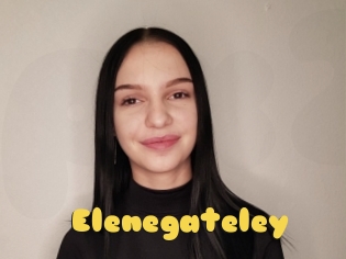 Elenegateley