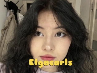 Elgacarls