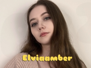 Elviaamber