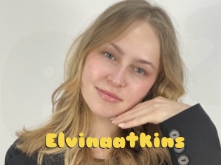 Elvinaatkins