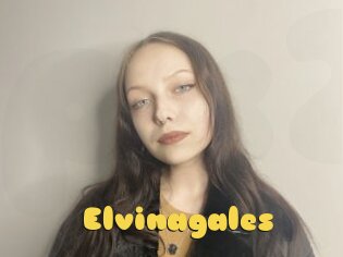 Elvinagales