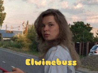 Elwinebuss