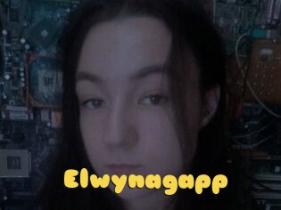 Elwynagapp