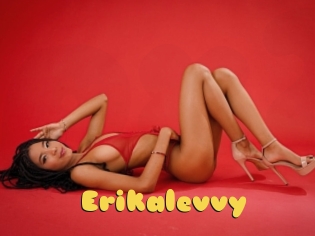 Erikalevvy