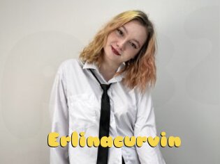 Erlinacurvin