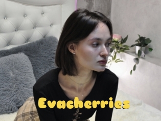 Evacherries