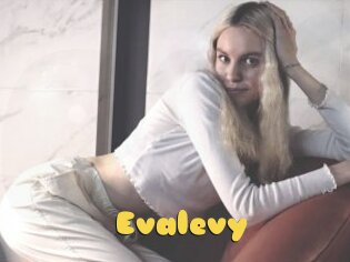 Evalevy