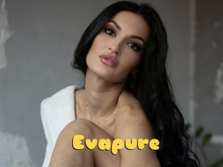 Evapure
